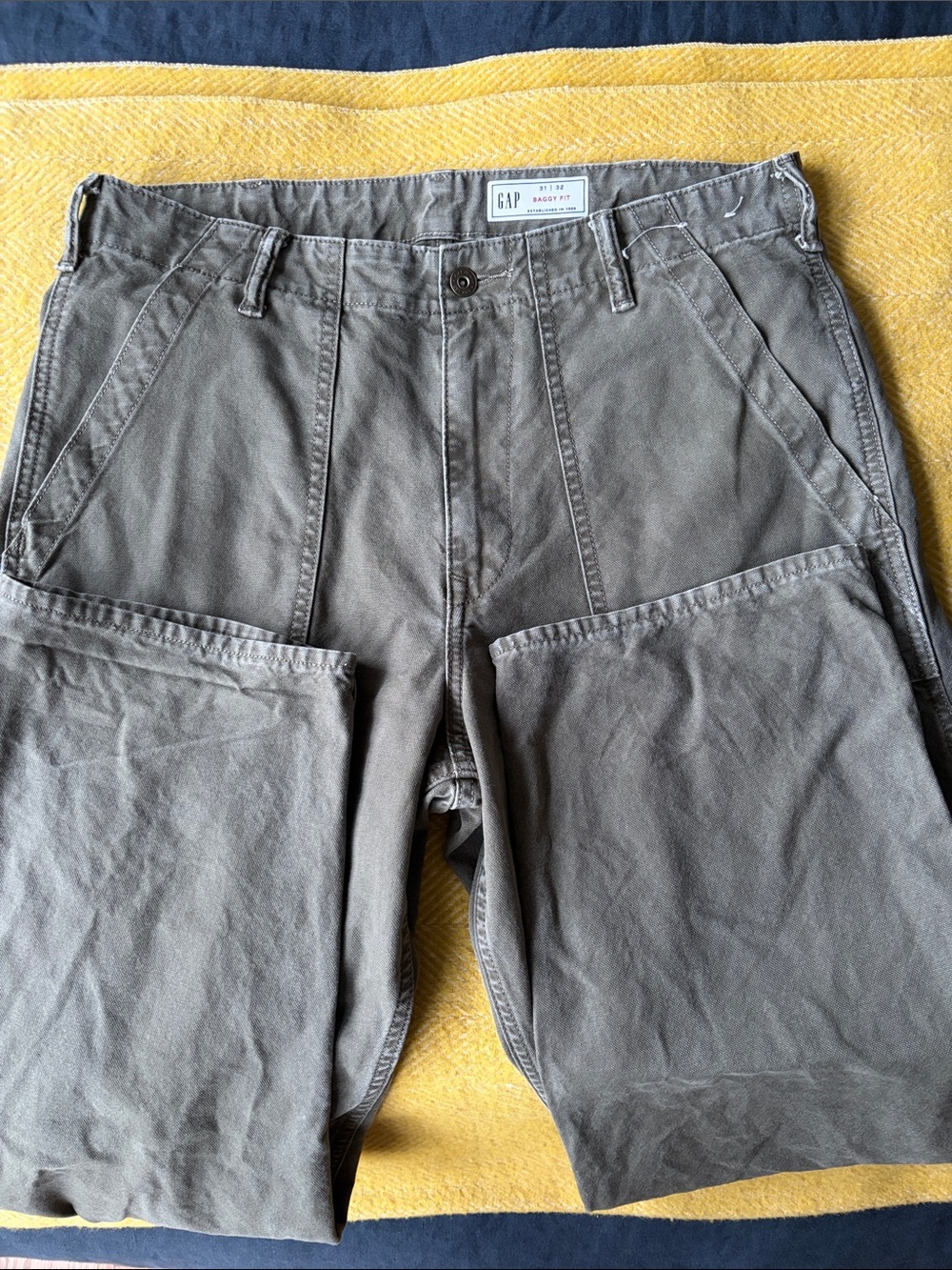 GAP Men's Olive/Brown Chino Pants
